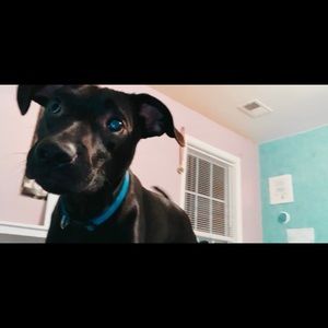 Meet your Posher, Chloe